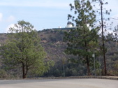Enlarge photo 113