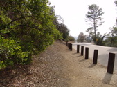 Enlarge photo 116