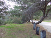 Enlarge photo 132