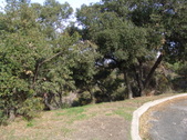 Enlarge photo 144