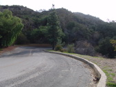 Enlarge photo 146