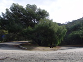 Enlarge photo 148