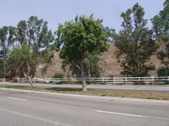 Enlarge photo 18