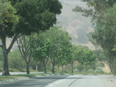 Enlarge photo 34