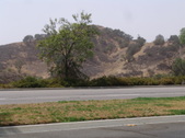 Enlarge photo 36