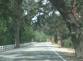 Enlarge photo 28