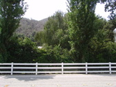Enlarge photo 30
