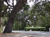 Enlarge photo 31