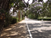 Enlarge photo 33
