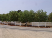 Enlarge photo 38