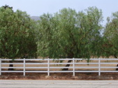 Enlarge photo 42