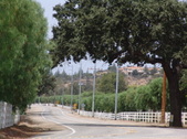Enlarge photo 43