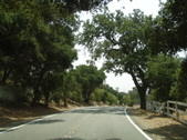 Enlarge photo 49