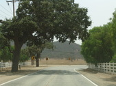 Enlarge photo 52