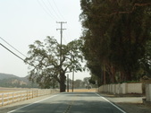 Enlarge photo 53