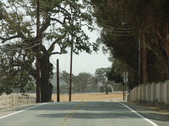 Enlarge photo 54