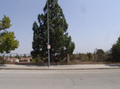 Enlarge photo 33
