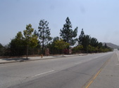 Enlarge photo 34