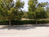 Enlarge photo 36