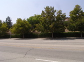 Enlarge photo 42