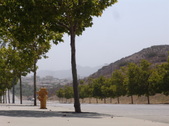 Enlarge photo 45