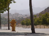 Enlarge photo 46