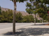 Enlarge photo 47