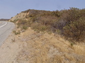 Enlarge photo 32
