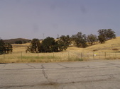 Enlarge photo 45