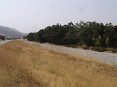 Enlarge photo 49