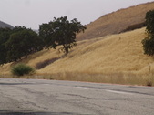 Enlarge photo 55