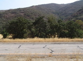 Enlarge photo 73