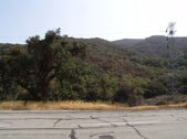 Enlarge photo 79