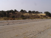 Enlarge photo 95