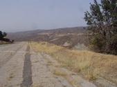 Enlarge photo 96