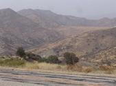 Enlarge photo 113