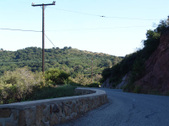 Enlarge photo 25