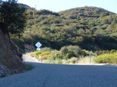 Enlarge photo 28