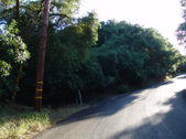 Enlarge photo 29