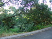 Enlarge photo 31
