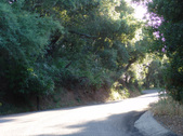 Enlarge photo 33