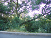 Enlarge photo 34