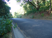 Enlarge photo 35
