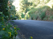 Enlarge photo 36