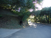 Enlarge photo 37