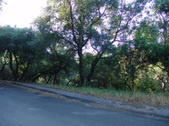 Enlarge photo 38