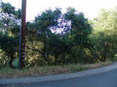 Enlarge photo 39