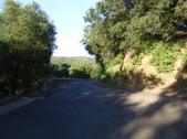 Enlarge photo 40