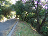 Enlarge photo 41