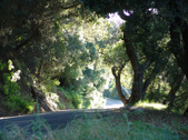 Enlarge photo 42